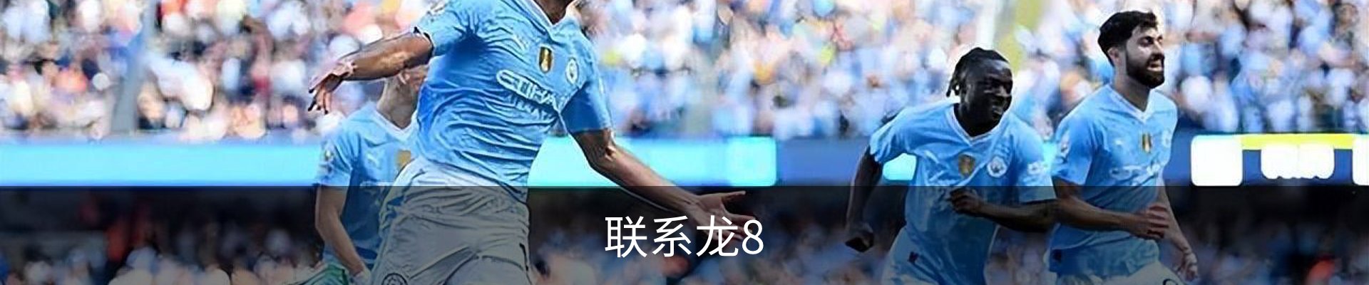 联系龙8