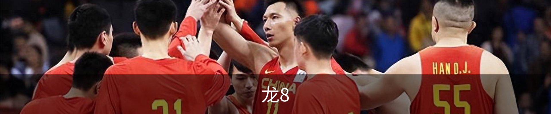 龙8